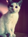 DSCN2100.JPG