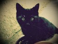 DSCN9809.JPG
