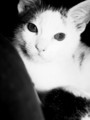 DSC01781.JPG